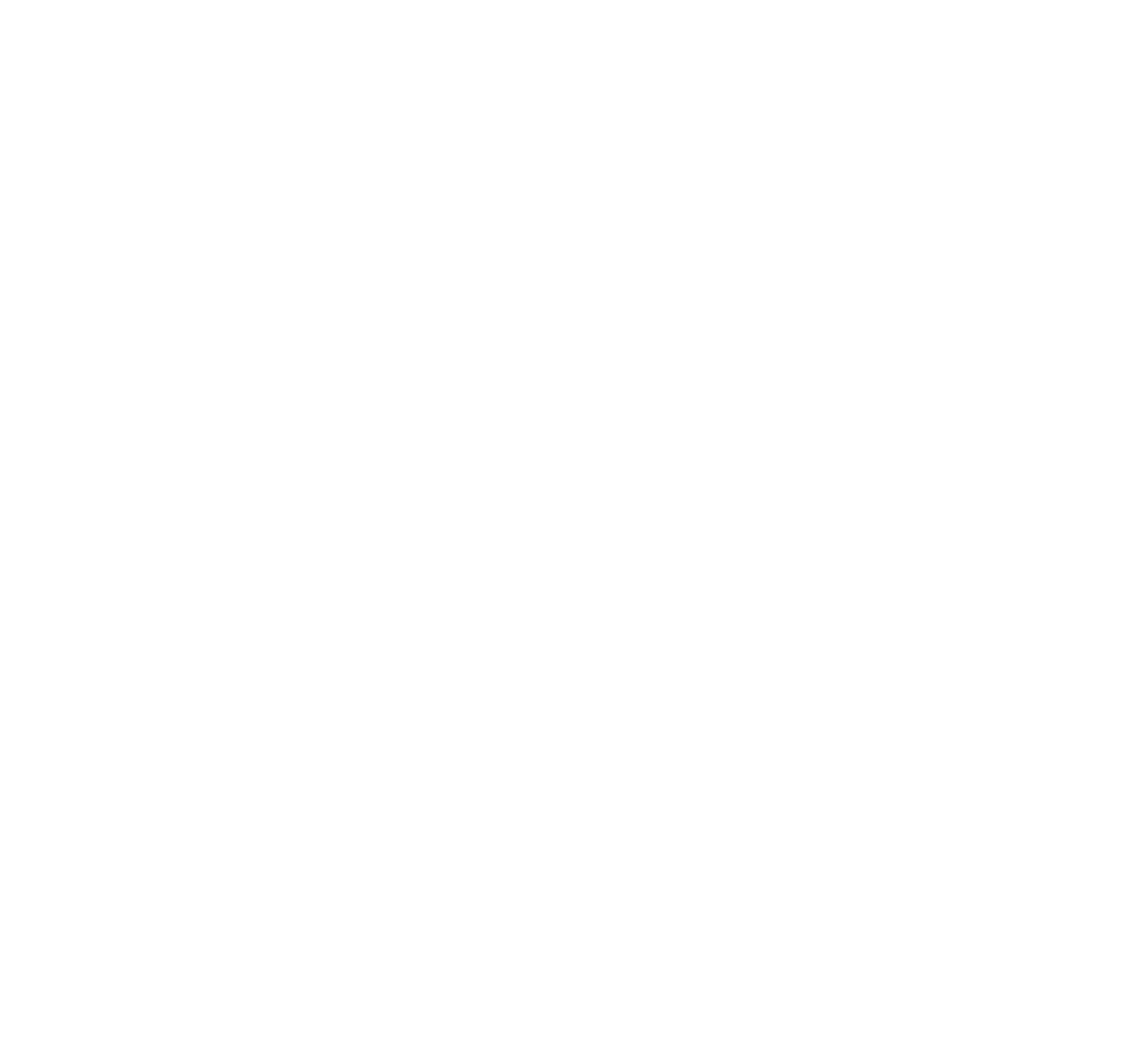 Lions International